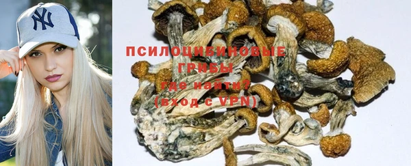 не бодяженный Киренск