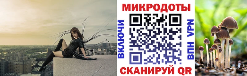 Купить  Дигора  Псилоцибиновые грибы Psilocybe 